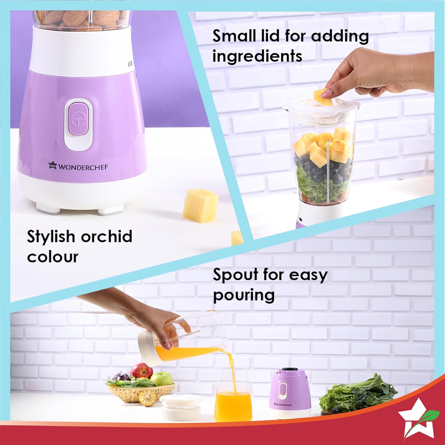 Wonderchef Orchid Personal Blender